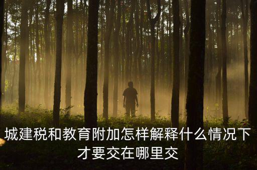 什么時(shí)候有教育費(fèi)附加，子女教育專項(xiàng)附加扣除的起始時(shí)間