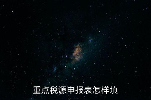重點(diǎn)稅源申報(bào)表怎樣填