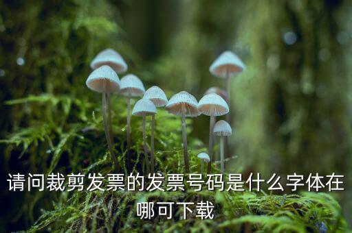 請問裁剪發(fā)票的發(fā)票號(hào)碼是什么字體在哪可下載