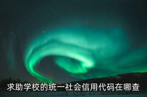學(xué)校的社會(huì)信用代碼是什么東西，求助學(xué)校的統(tǒng)一社會(huì)信用代碼在哪查