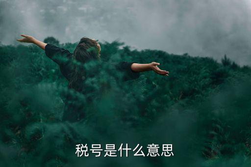 納稅號碼是什么意思，稅號是什么意思