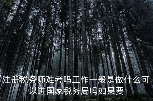 什么是稅務(wù)師，注冊(cè)稅務(wù)師能干什么待遇怎么樣