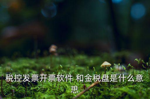 稅控系統(tǒng)指什么，稅控發(fā)票開票軟件 和金稅盤是什么意思