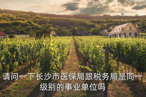 國稅局是什么醫(yī)保，請問一下長沙市醫(yī)保局跟稅務局是同一級別的事業(yè)單位嗎
