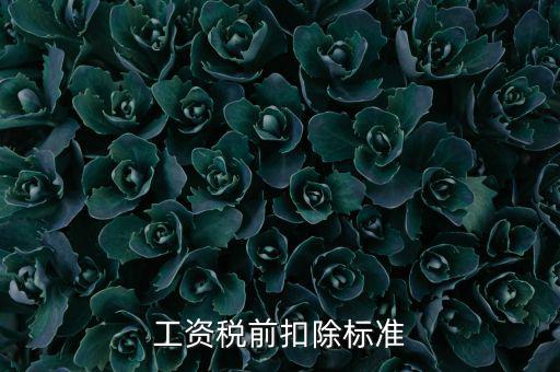 什么是稅前扣除標(biāo)準(zhǔn)，請(qǐng)問(wèn)差旅費(fèi)稅前扣除標(biāo)準(zhǔn)是什么