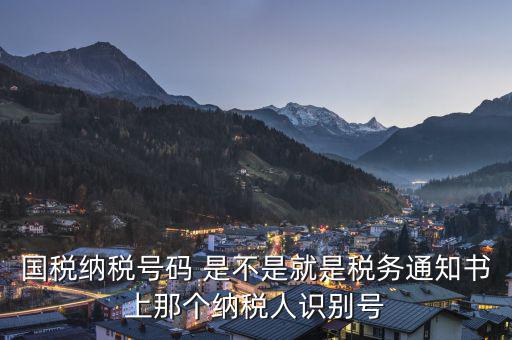 國稅納稅號碼 是不是就是稅務(wù)通知書上那個(gè)納稅人識別號