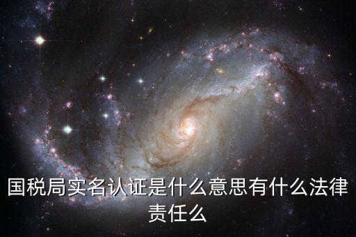 國稅局實名認(rèn)證是什么意思有什么法律責(zé)任么