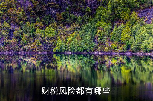 財(cái)稅問(wèn)題有什么，請(qǐng)教財(cái)稅的基礎(chǔ)問(wèn)題謝謝很簡(jiǎn)單的