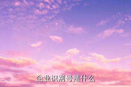 查詢公司什么納稅人識(shí)別號(hào)，納稅人識(shí)別號(hào)怎么查啊