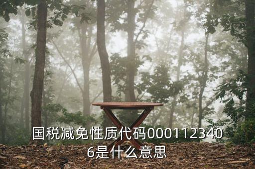 國(guó)稅減免性質(zhì)代碼0001123406是什么意思