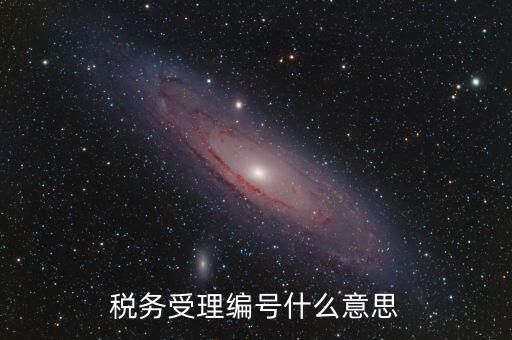 稅務(wù)受理編號(hào)什么意思