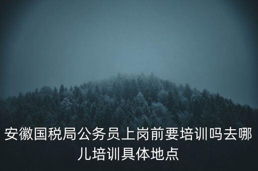 安徽國(guó)稅什么時(shí)候培訓(xùn)，安徽省稅務(wù)學(xué)校還在嗎那里的教學(xué)樓宿舍和操場(chǎng)都還在嗎沒(méi)被拆