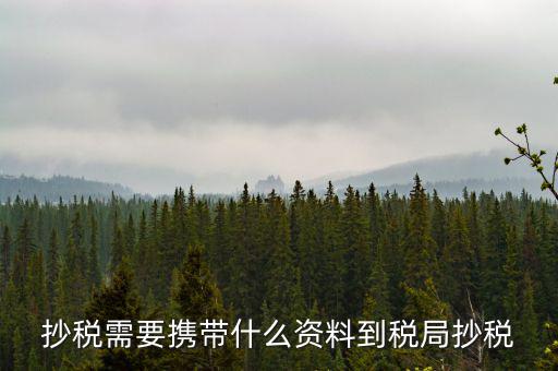 報稅查什么輔導信息，剛申請為一般納稅人在哪查看是否要經(jīng)過輔導期納稅申報初始化填5