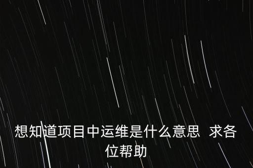 地稅提運(yùn)維是什么意思，想知道項(xiàng)目中運(yùn)維是什么意思  求各位幫助