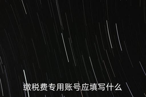 繳稅費(fèi)專用賬號(hào)應(yīng)填寫什么