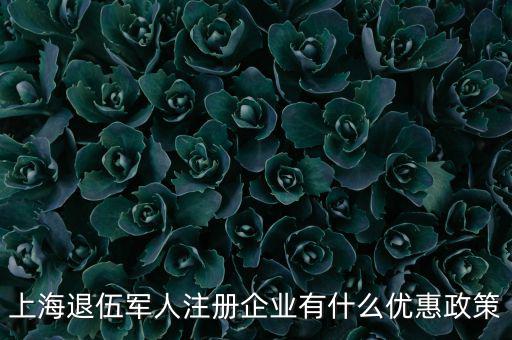 上海退伍軍人注冊(cè)企業(yè)有什么優(yōu)惠政策