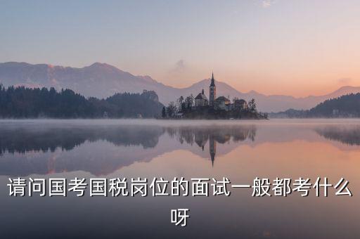 國稅標(biāo)兵人才考什么，國稅通用能力測試考什么