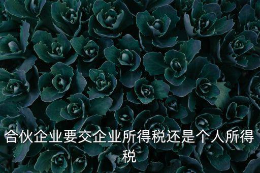 合伙企業(yè)要交企業(yè)所得稅還是個(gè)人所得稅