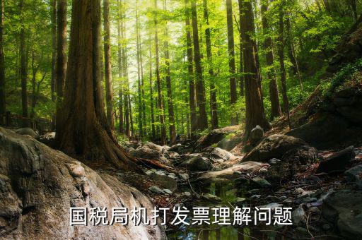 機(jī)打票是什么問題，個(gè)體工商戶開機(jī)打票的問題