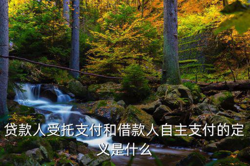 自主支出是什么，自主支出是什么意思求解釋