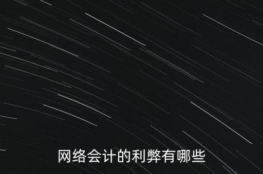 網(wǎng)絡(luò)會(huì)計(jì)的利弊有哪些