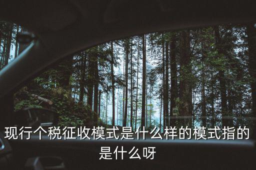 個(gè)人征稅系統(tǒng)是什么，你好補(bǔ)交個(gè)稅在稅局系統(tǒng)怎樣操作