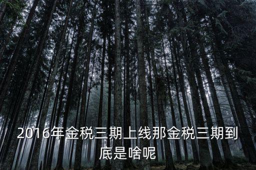 國(guó)稅金稅三期是什么意思，金稅三期是什么意思