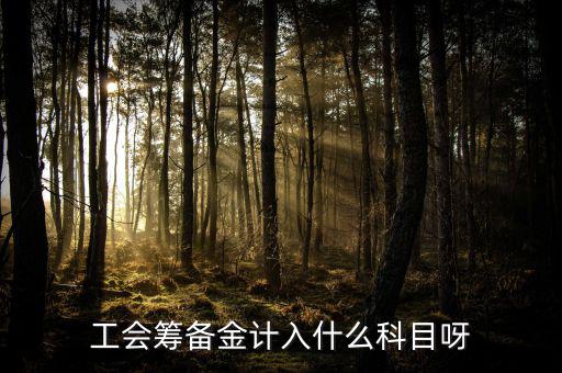什么是工會(huì)籌備金，工會(huì)籌備金計(jì)入什么科目呀