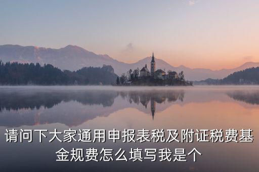 通用申報(bào)基金規(guī)費(fèi)包括什么，請問下大家通用申報(bào)表稅及附證稅費(fèi)基金規(guī)費(fèi)怎么填寫我是個(gè)