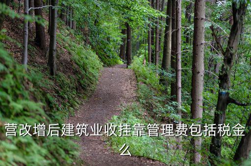 營改增后建筑業(yè)收掛靠管理費(fèi)包括稅金么