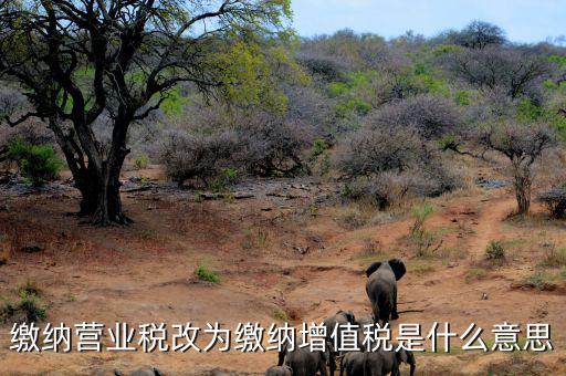 營業(yè)稅改為增值稅是什么意思，營業(yè)稅改增值稅指的是什么