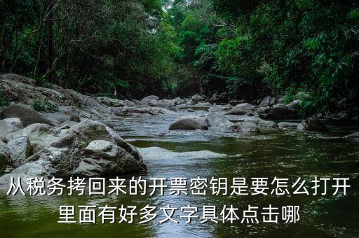 稅務(wù)密鑰是什么，增值稅專用發(fā)票辦理秘鑰是什么意思