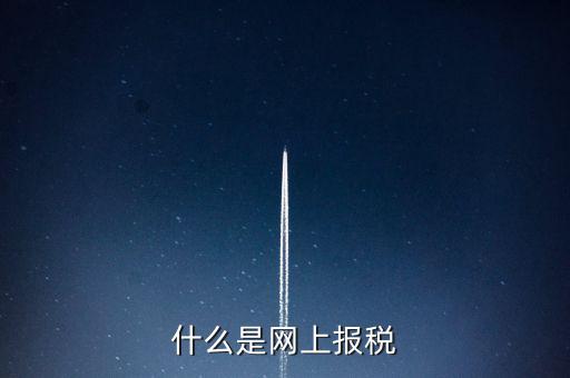 網(wǎng)上報稅是指報什么稅，網(wǎng)上報稅 是報的什么