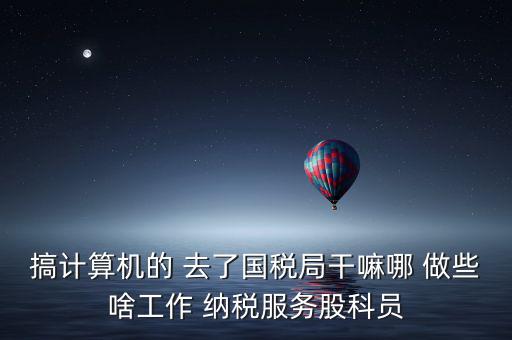 納服科是什么，搞計(jì)算機(jī)的 去了國稅局干嘛哪 做些啥工作 納稅服務(wù)股科員