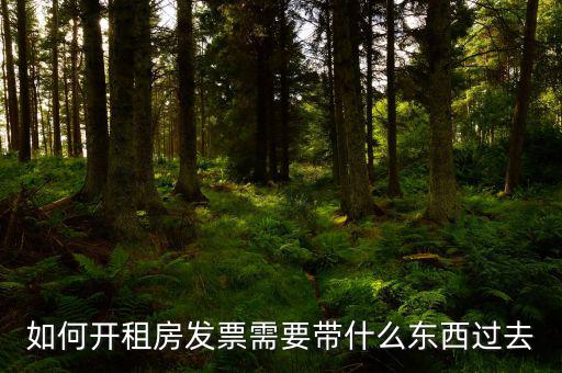如何開(kāi)租房發(fā)票需要帶什么東西過(guò)去