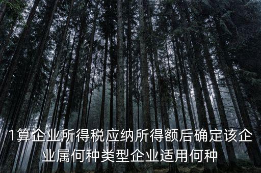 什么企業(yè)屬于小微企業(yè)所得稅，企業(yè)所得稅小微企業(yè)所得稅