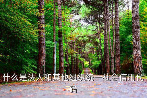 機關有社會信用代碼是什么意思，社會信用代碼與機構信用代碼有什么不同