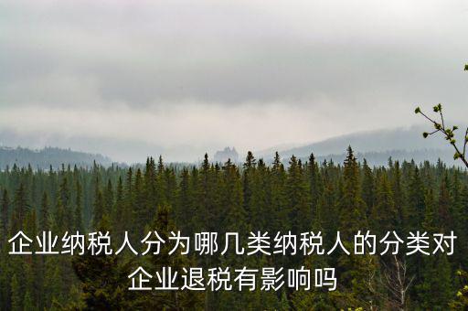 什么A級B級信用納稅人，A級增值稅一般納稅人C級增值稅一般納稅