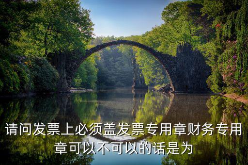 為什么要用發(fā)票專用章，請問發(fā)票上必須蓋發(fā)票專用章財務(wù)專用章可以不可以的話是為