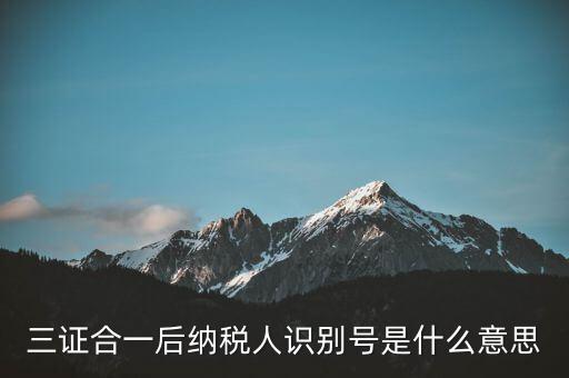 三證合一稅務(wù)識別號是什么意思，三證合一后納稅人識別號是什么意思
