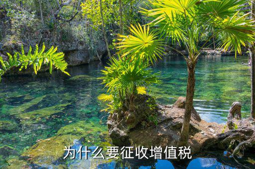境外勞務為什么要交增值稅，為什么要交增值稅