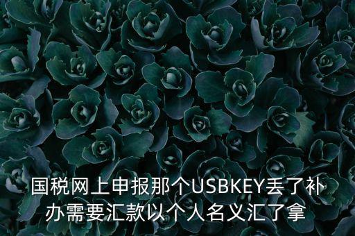國稅網(wǎng)上申報(bào)那個(gè)USBKEY丟了補(bǔ)辦需要匯款以個(gè)人名義匯了拿