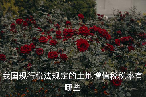 土地增值稅采用什么稅率，土地增值稅應(yīng)用于哪種稅率形式