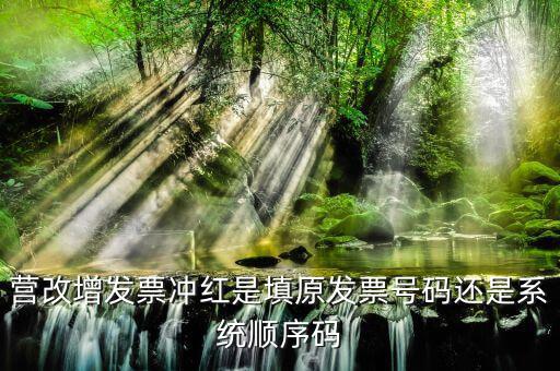 營改增發(fā)票沖紅是填原發(fā)票號碼還是系統順序碼