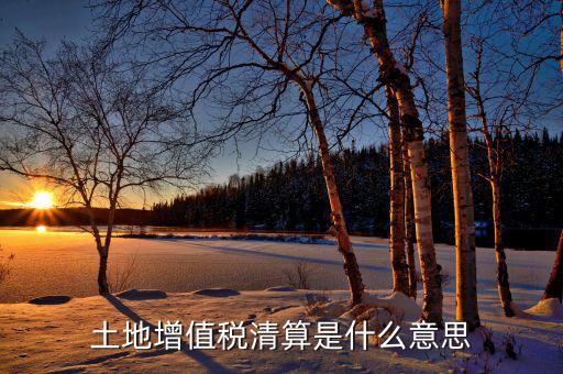 土地增值稅納稅清算什么意思，土地增值稅清算