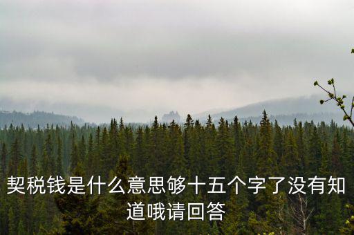 契稅錢是什么意思?jí)蚴鍌€(gè)字了沒(méi)有知道哦請(qǐng)回答