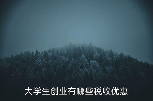 學(xué)校有什么稅收優(yōu)惠，大學(xué)生創(chuàng)業(yè)有哪些稅收優(yōu)惠