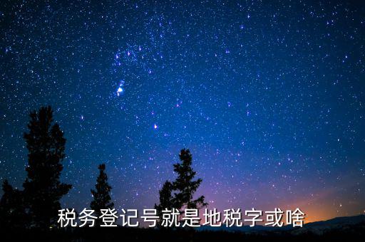 國稅地稅登記號是什么意思，稅務登記號就是地稅字或啥
