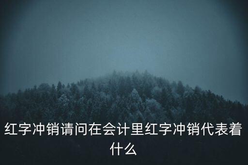 紅字沖銷請問在會計(jì)里紅字沖銷代表著什么