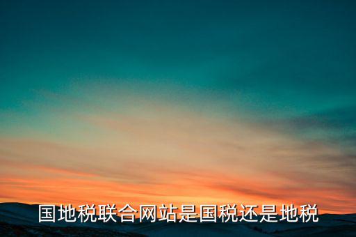 國地稅聯(lián)合辦稅是什么意思，國地稅聯(lián)合稅費申報什么意思